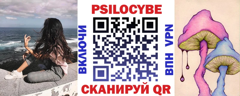 Псилоцибиновые грибы Psilocybine cubensis Пугачёв